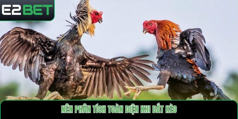 Nên phân tích toàn diện khi bắt kèo