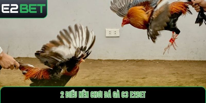 2 điều nên chơi đá gà c3 E2bet