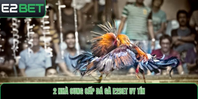 2 nhà cung cấp đá gà E2bet uy tín
