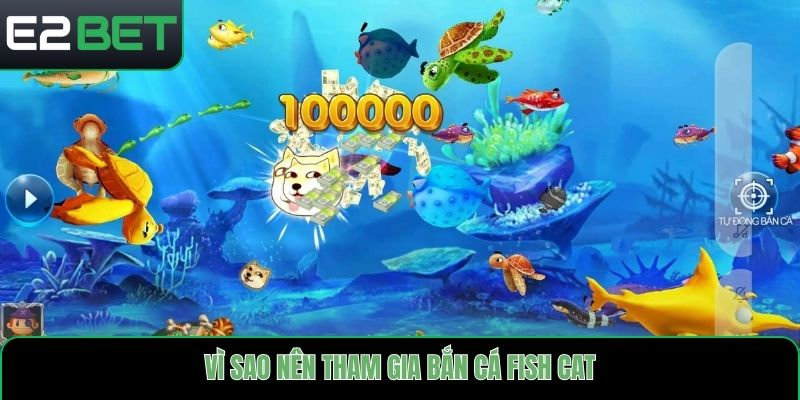 Vì sao nên tham gia bắn cá fish cat